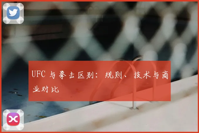 UFC 与拳击区别：规则、技术与商业对比
