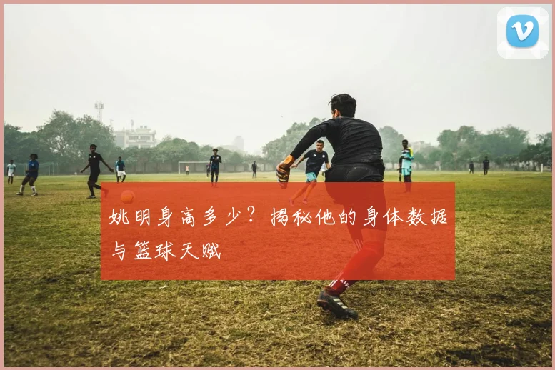 姚明身高多少？揭秘他的身体数据与篮球天赋