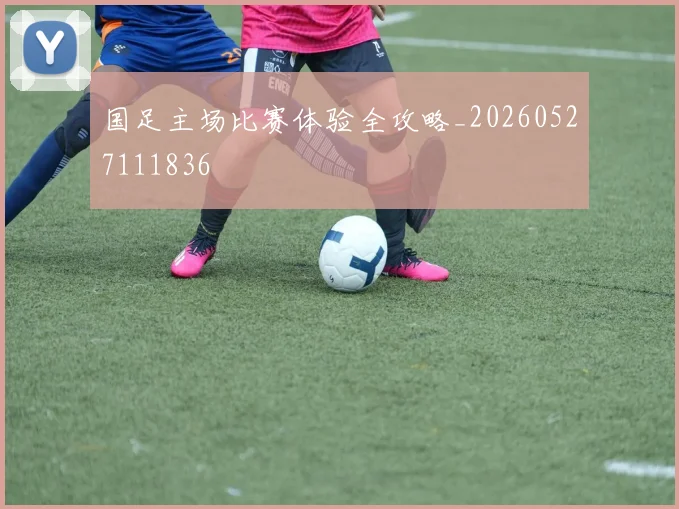 国足主场比赛体验全攻略_20260527111836