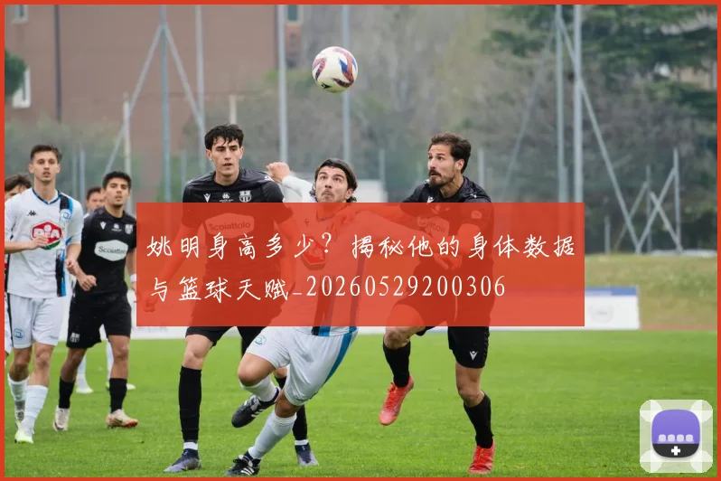 姚明身高多少?揭秘他的身体数据与篮球天赋_20260529200306