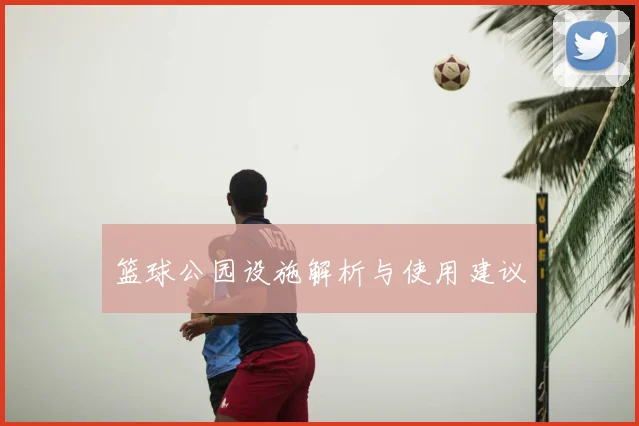 篮球公园设施解析与使用建议