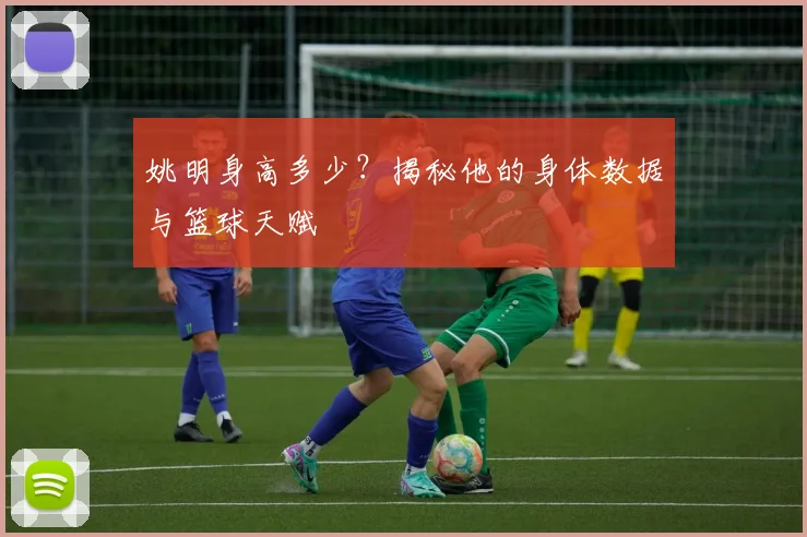 姚明身高多少?揭秘他的身体数据与篮球天赋